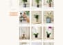 design ecommerce website and build wordpress ecommerce online store